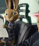 08283.jpg