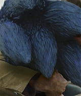 647.jpg
