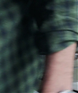 231.jpg